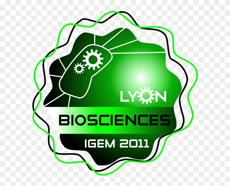 Lyon Insa - Shamrock Clipart