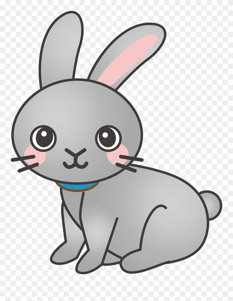 Rabbit, Bunny, Animal, Cute - Rabbit Cartoon Png Clipart