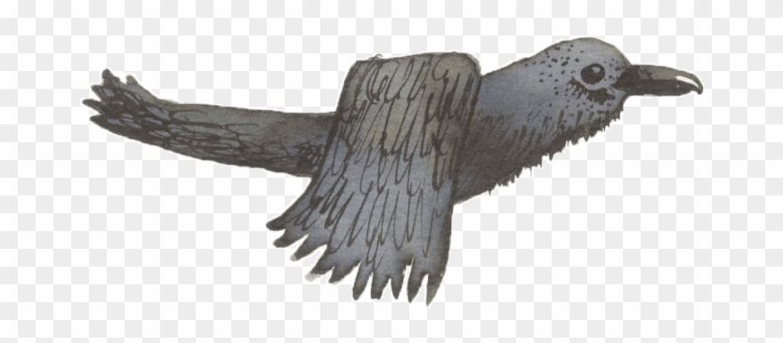 Raven Clipart