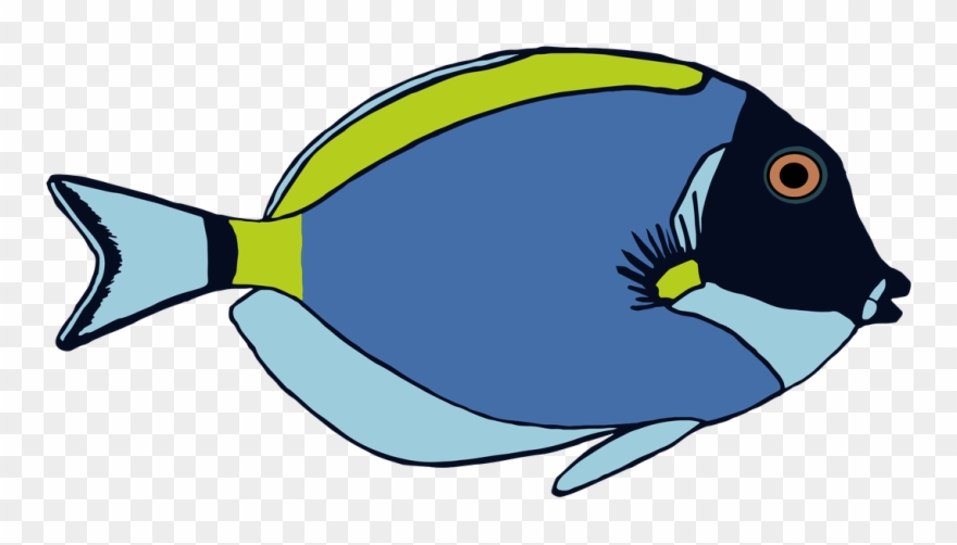 Clipart Fish Colorful - Powder Blue Tang Clip Art - Png Download