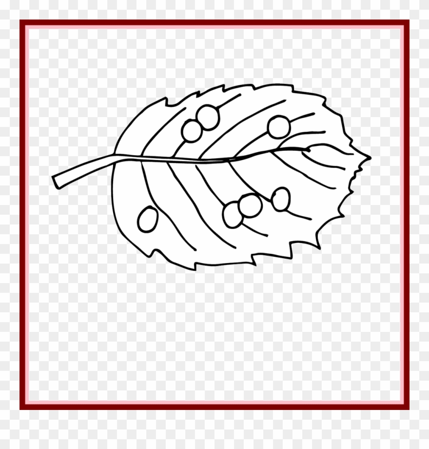 Incredible Vintage Butterfly Image Nice For Eggs Clipart - Drawing Of Butterfly Eggs - Png Download