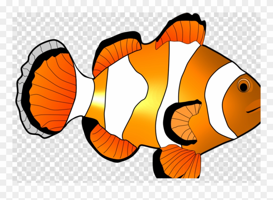 Download Fish Clipart Clownfish Clip Art Fish Orange - Clownfish - Png Download