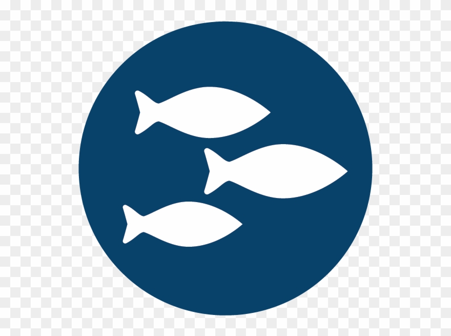 Food And Feed Safety Diagnostic Assays Bioo - Closed-circuit Television Clipart