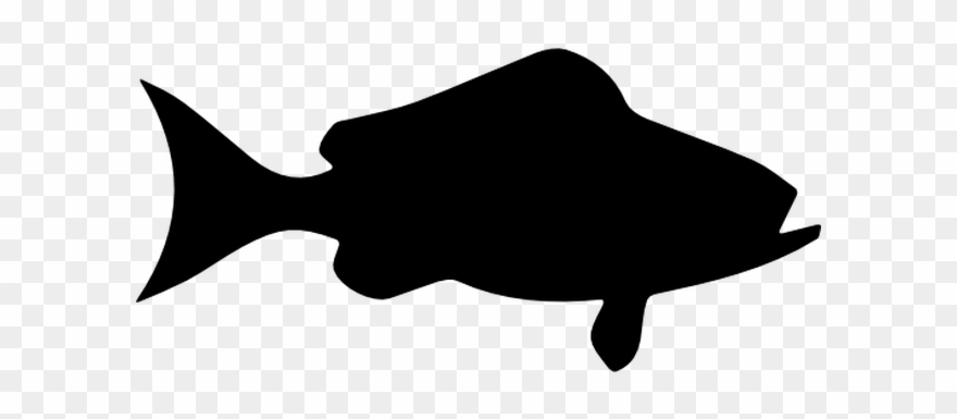 Fishing Clip Fly - Portable Network Graphics - Png Download