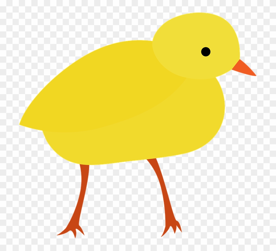 Easter Chick Clipart 9, Buy Clip Art - Civciv Png Transparent Png