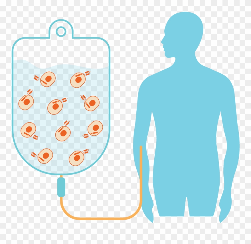 Clinical Cell Therapy Biomarker Discovery And Product - Illustration Clipart
