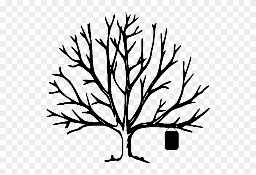 Paint Pot Tree - Bare Tree Clipart Png Transparent Png
