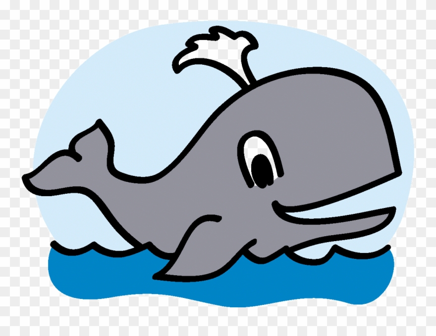Wacky Whales - Whale Clipart - Png Download