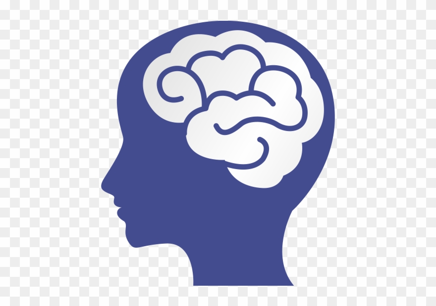Neuroscience Is The Science Of The Brain And Looks - Mental Health Brain Clipart - Png Download