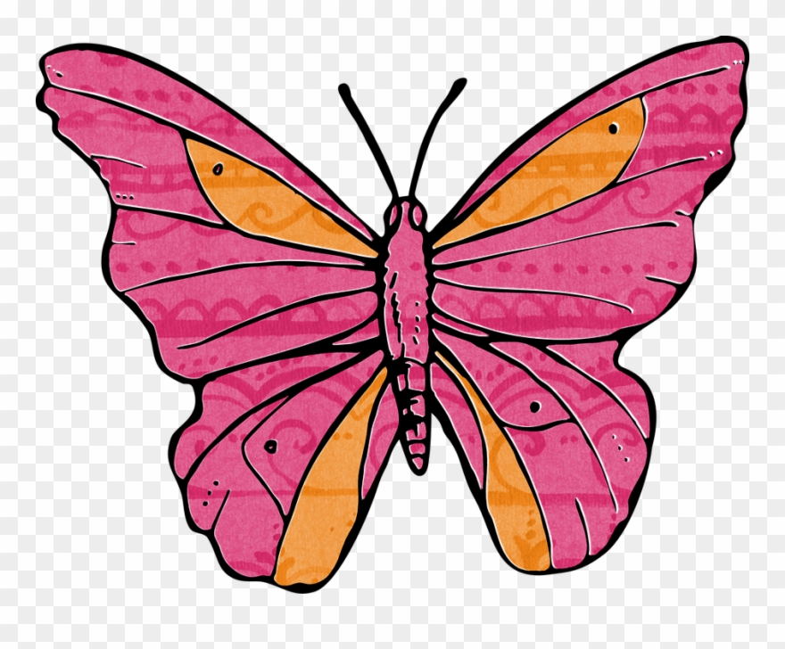 Orange And Pink Butterflies Clipart