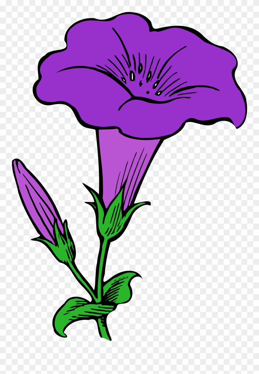 Flower Clip Art - Png Download