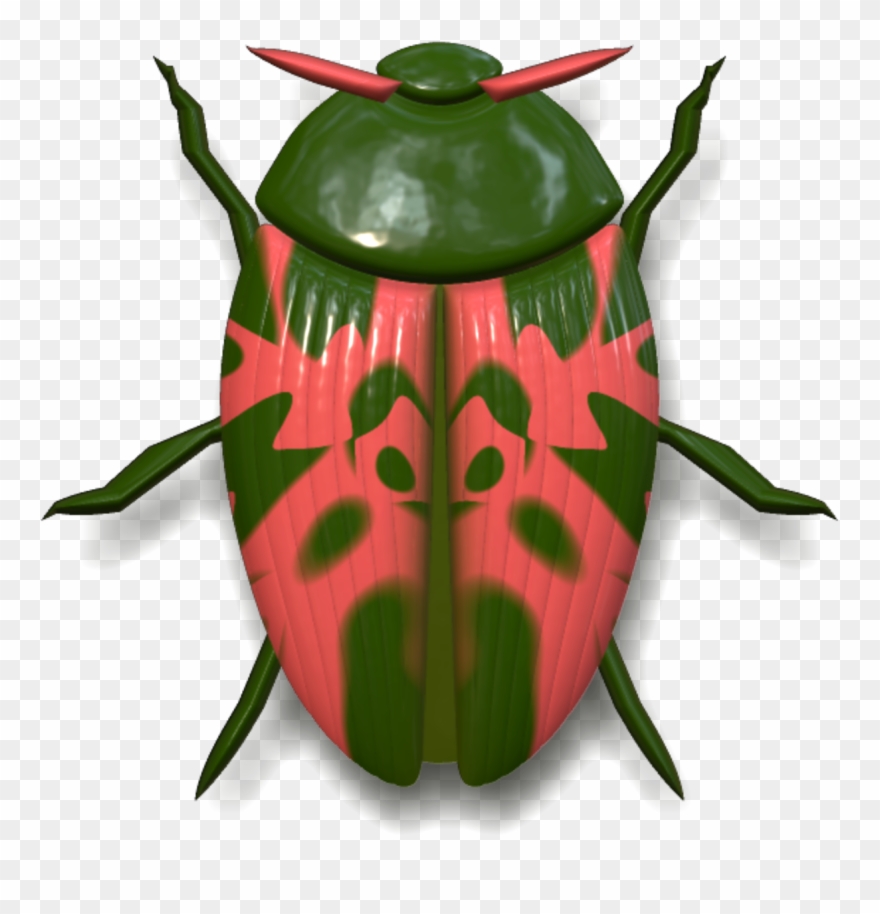Ladybird Beetle Clipart