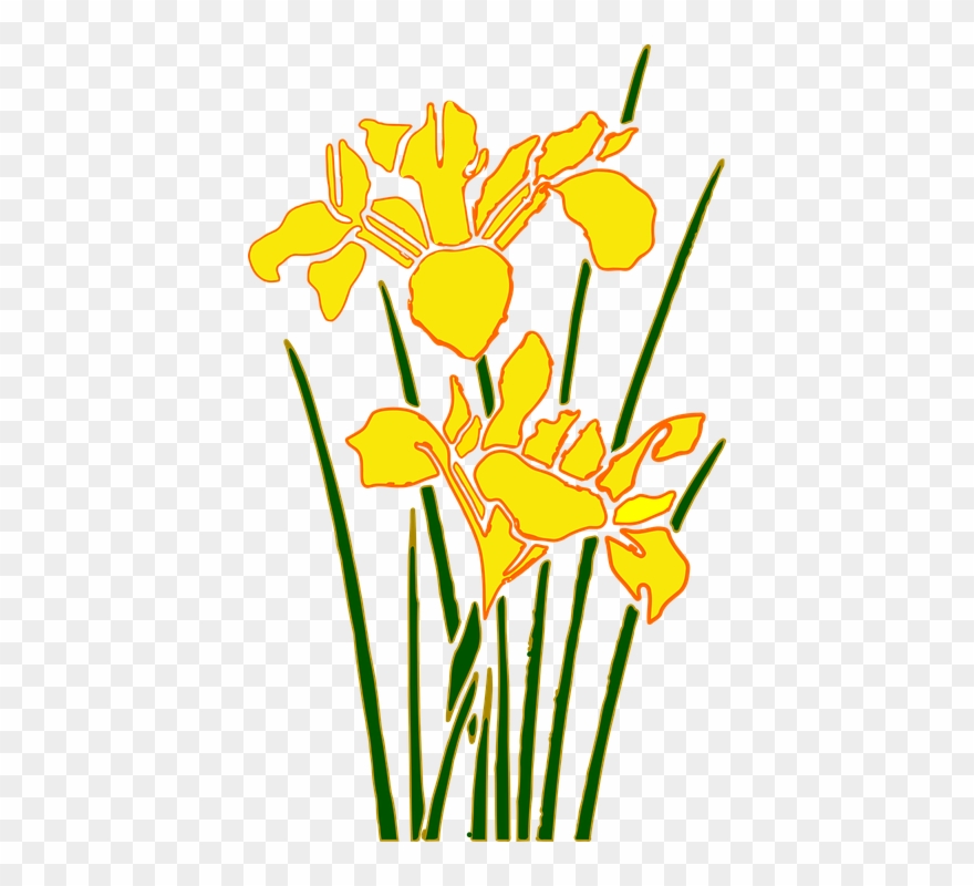 Daffodil Cartoon 7, Buy Clip Art - Taman Bunga Png Transparent Png