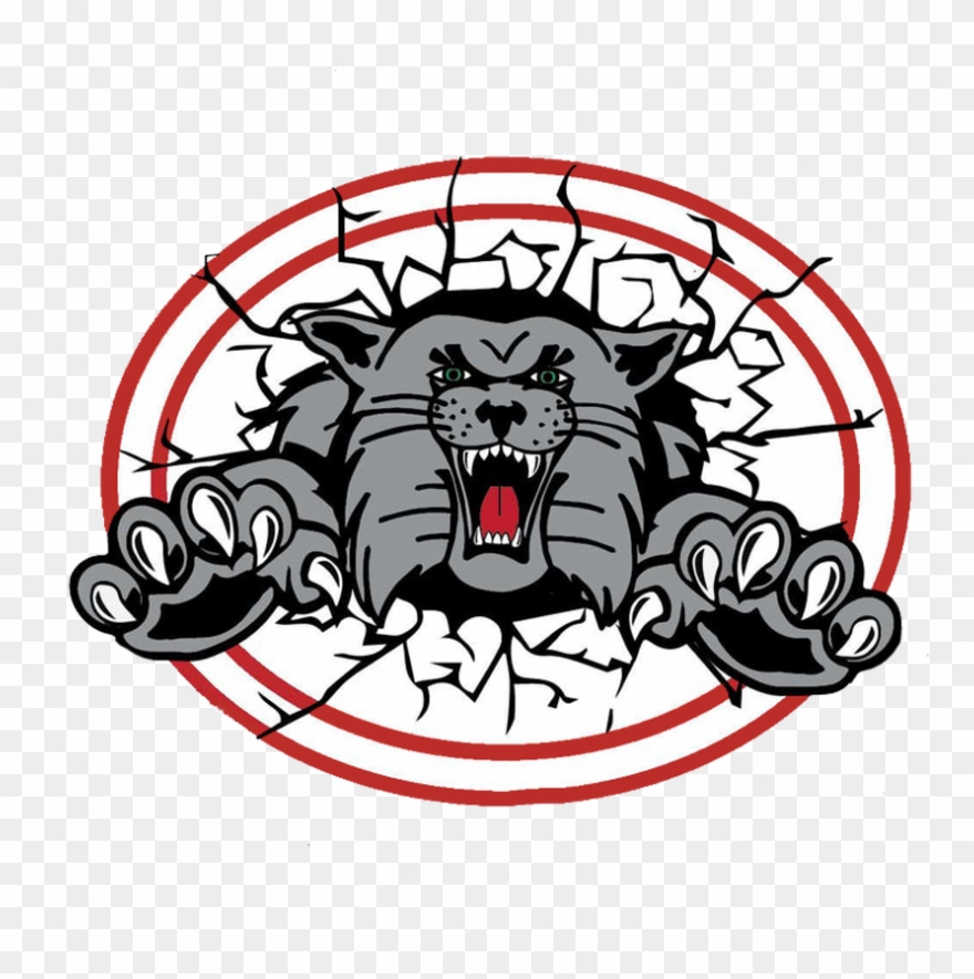 Canton South Wildcats - Canton South Wildcats Logo Clipart