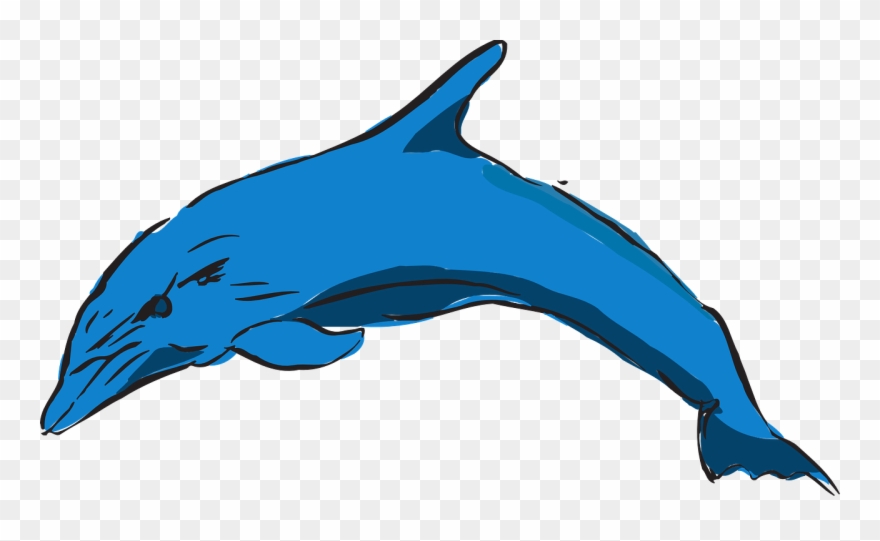Collection Of Dolphin Vector Art - Dolphin Clipart