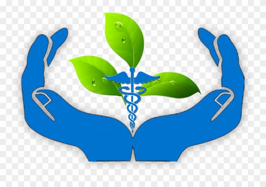 About Our Center Of Excellence - Open Hands Clip Art - Png Download