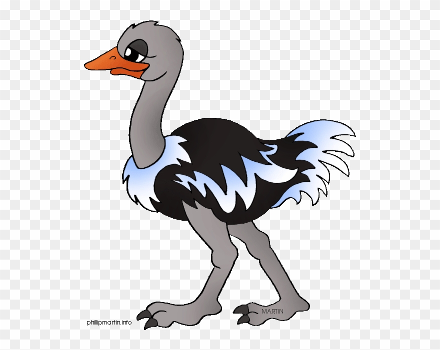 Ostrich Clipart - Cartoon Picture Of Ostrich - Png Download