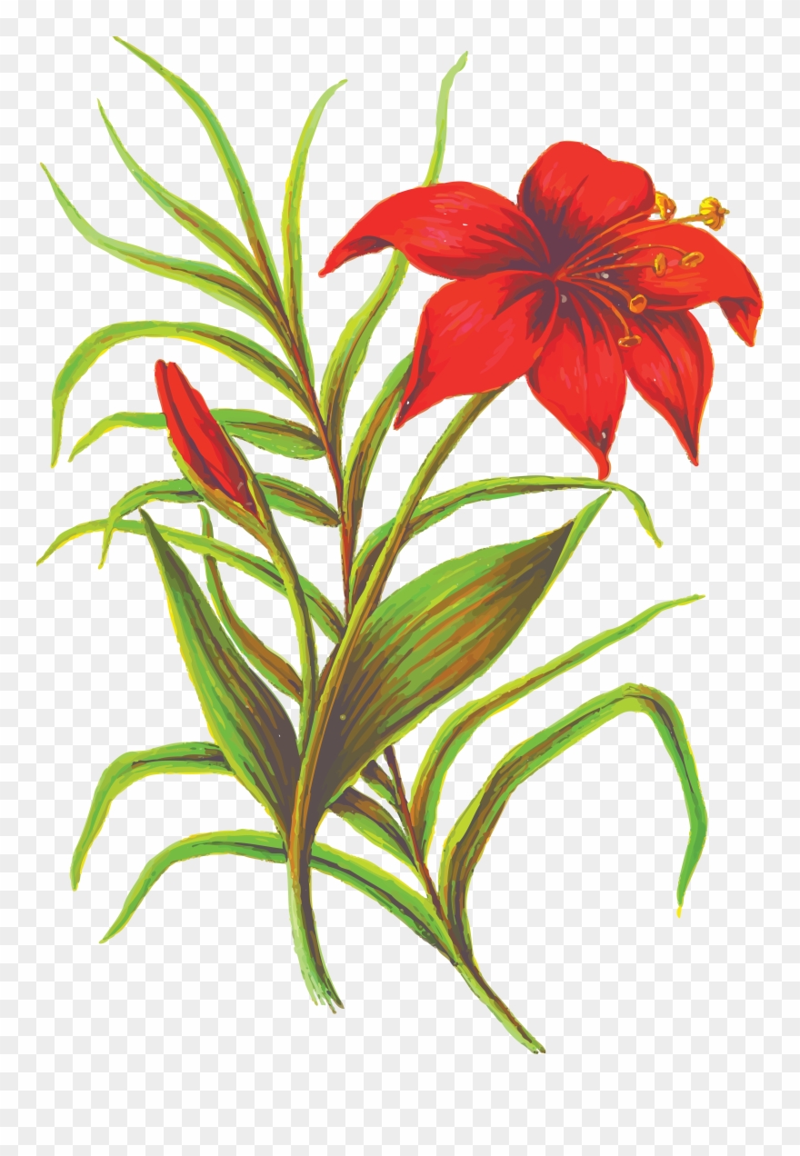 Lily Clipart Resurrection - Red Flower Design Large Tote Bag, Adult Unisex, Natural, - Png Download