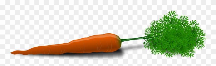 Carrot Background Cliparts 19, Buy Clip Art - Transparent Background Carrots Clipart - Png Download