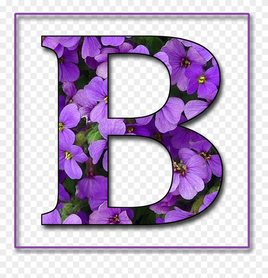 Capital Letter B Free Scrapbook Alphabet Png - Letter B In Purple Clipart