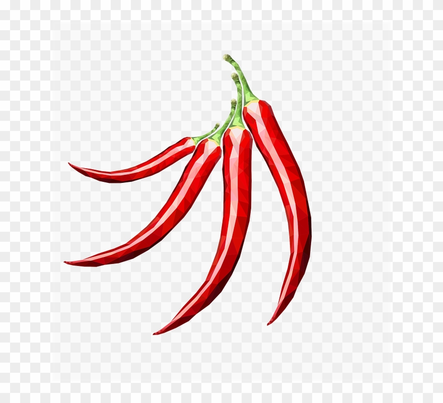 Spicy Chili Cliparts 13, Buy Clip Art - Cabai Merah Png Transparent Png