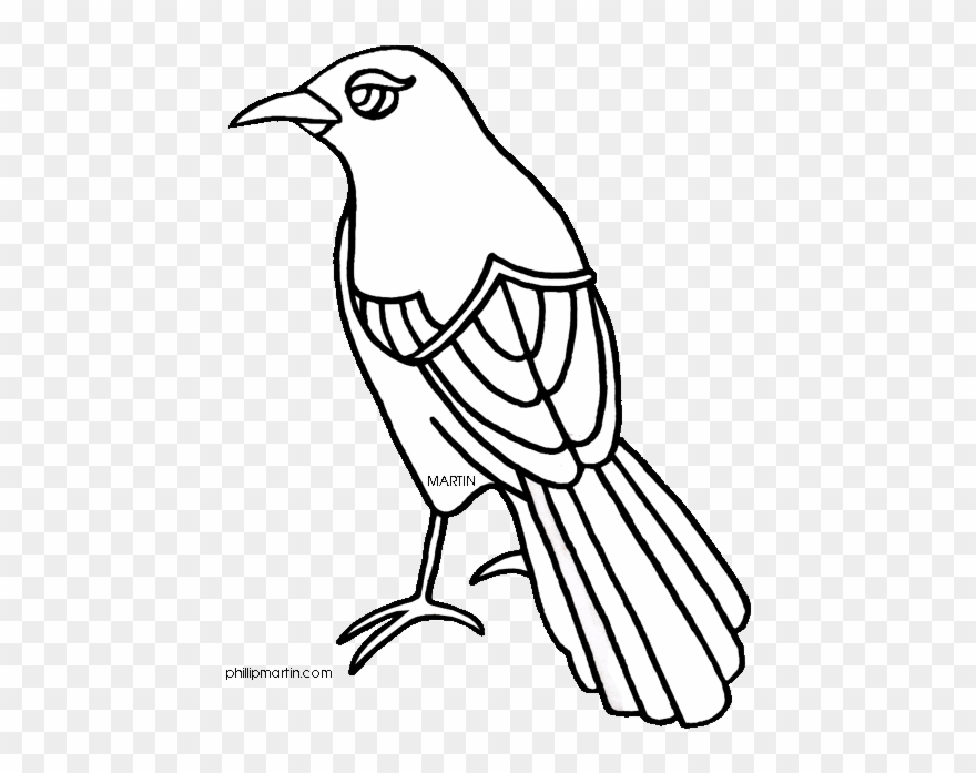 Texas Mockingbird Clipart - Texas State Bird Drawing - Png Download