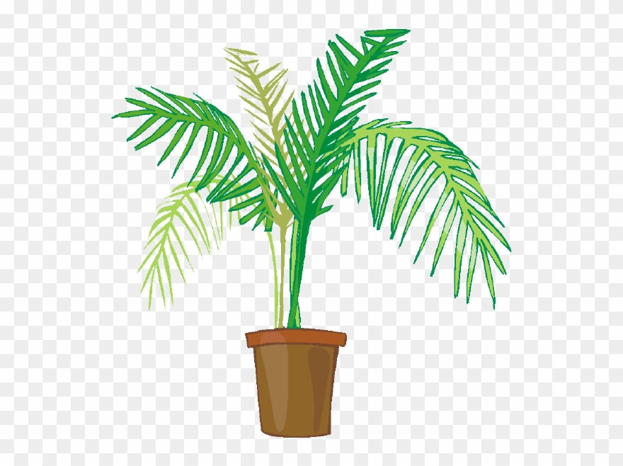 Indoor Potted Plants - Palm Tree Plant Clipart - Png Download