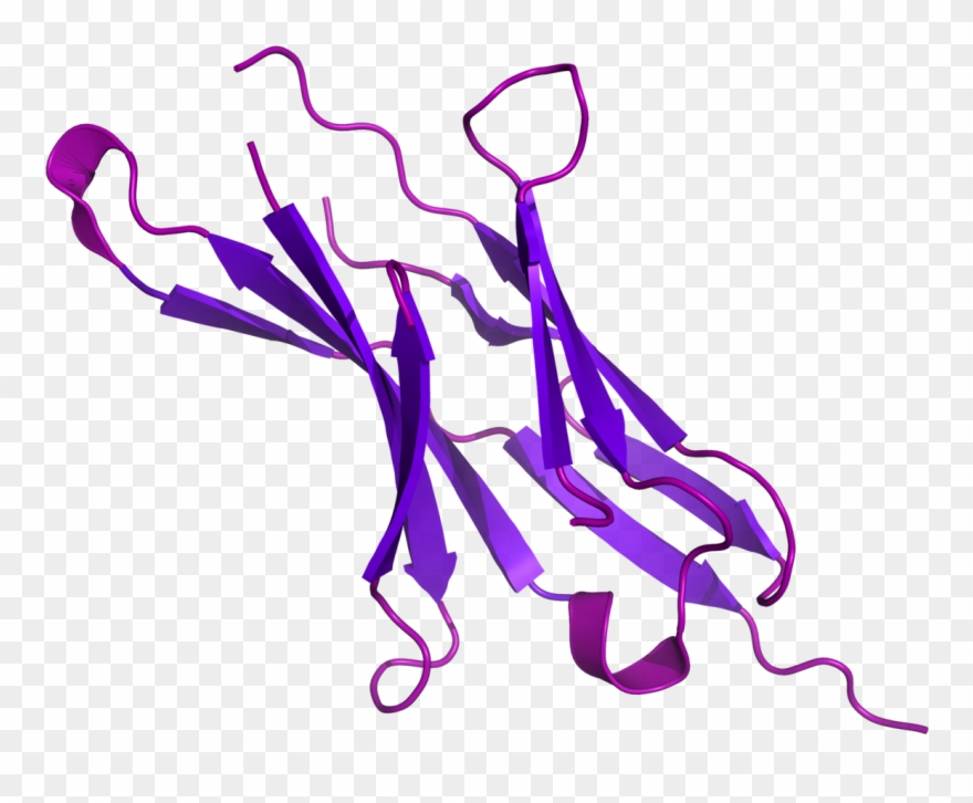 Pd 1 Protein Clipart