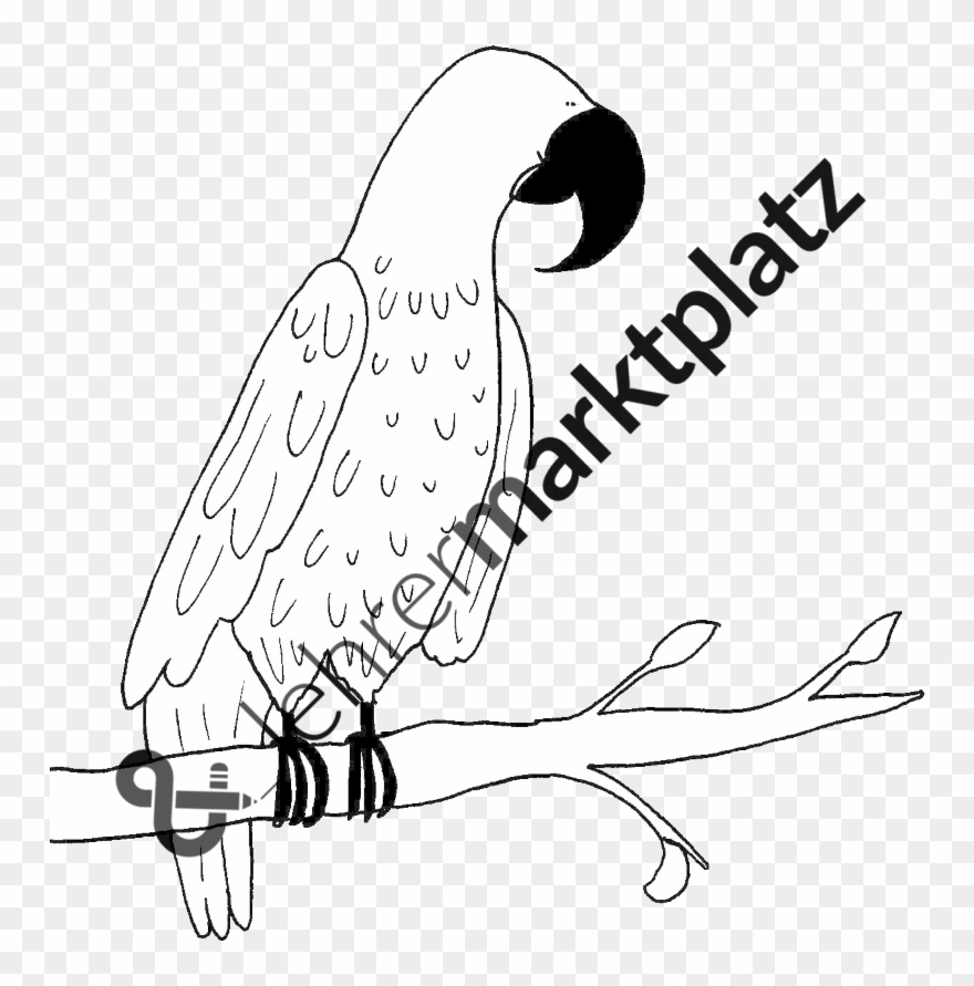 ‹ › - Place Card Clipart