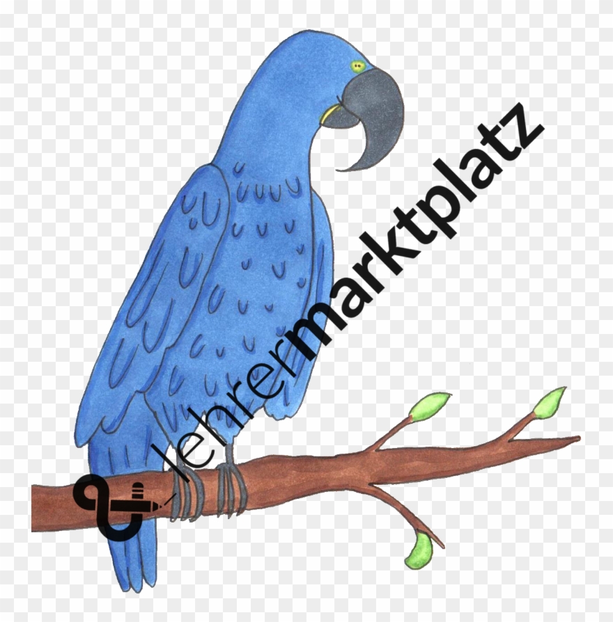 ‹ › - Triebtheorie Clipart