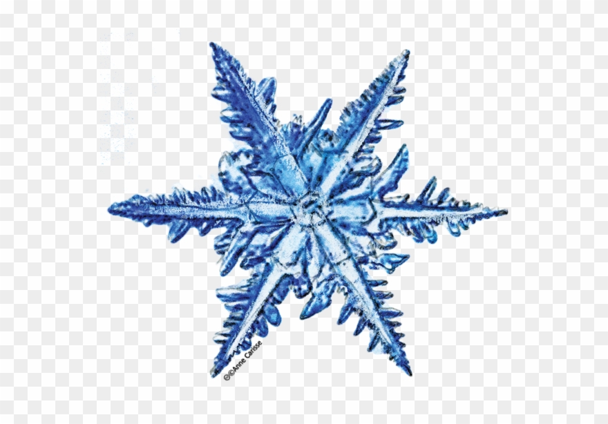 Clipart Flocon De Neige - Png Download