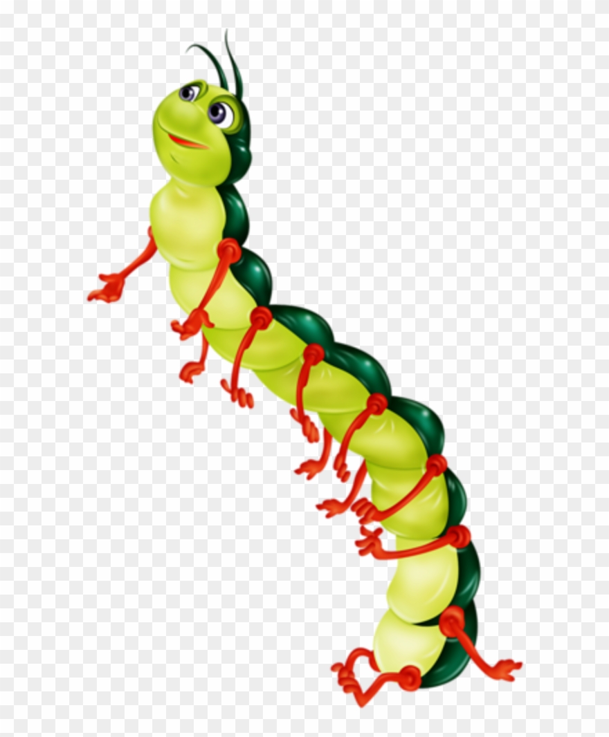 R Sultat De Recherche - Chenille Dessin Couleur Clipart