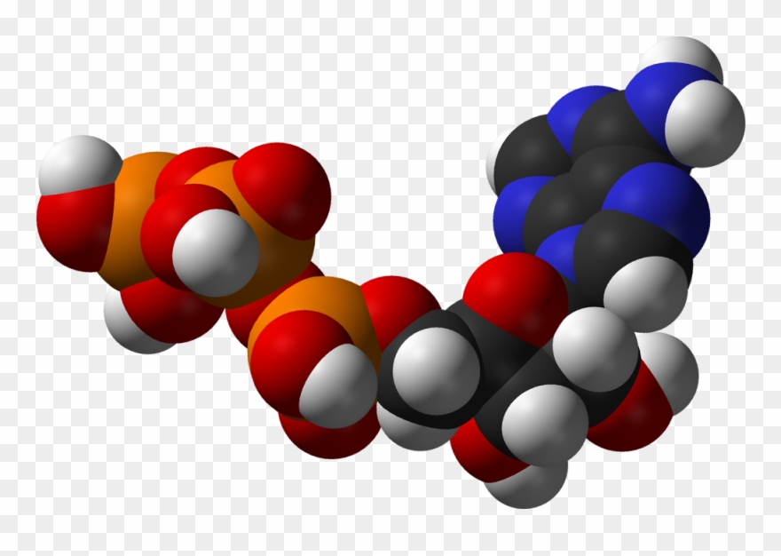Energy In An Atp Molecule - Atp Molecule Png Clipart
