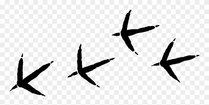 Turkey Foot Prints Png Clipart