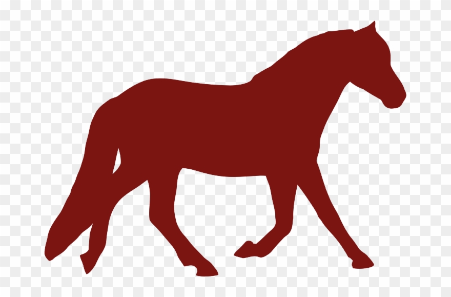 Ve Lo Vtt Randonne E Peche Tennis Cheval Ulm Accrobranche - The Noun Project Clipart