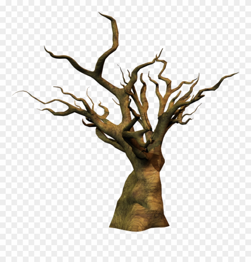 Arbol Seco Dibujo Png Clipart