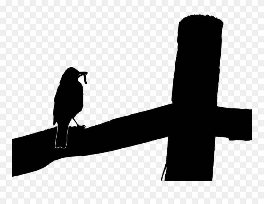 Publicat De Eu Ciresica La - Bird Clipart