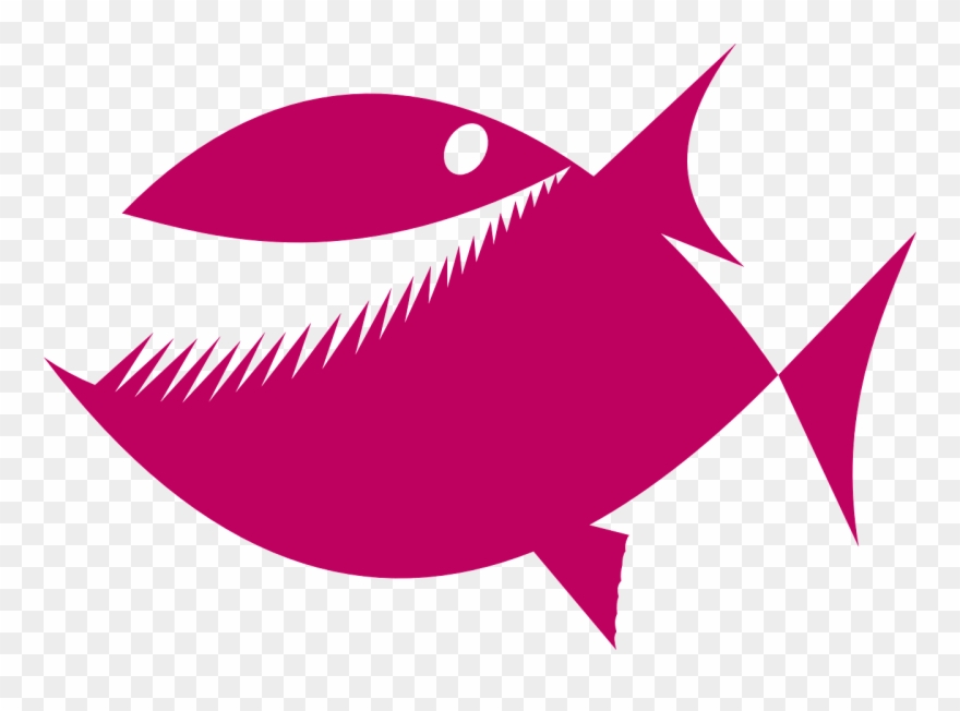 Picnic Graphics Free 19, Buy Clip Art - Orange Fish Greeting Cards (pk Of 10) - Png Download