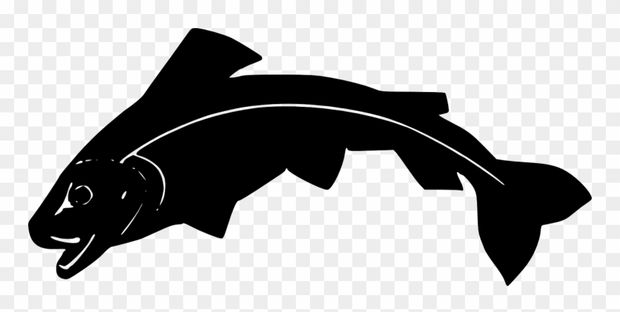 Tolly's Crest - Killer Whale Clipart Black And White - Png Download