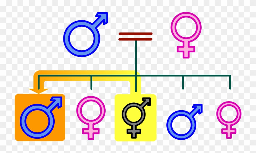 Nuclear Family Member Older Brother - Nuclear Family Clipart