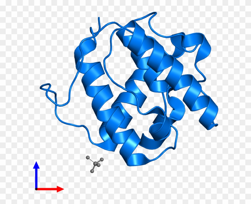 <div Class='caption-body'>pdb Entry 2r8u Contains 1 - Graphic Design Clipart