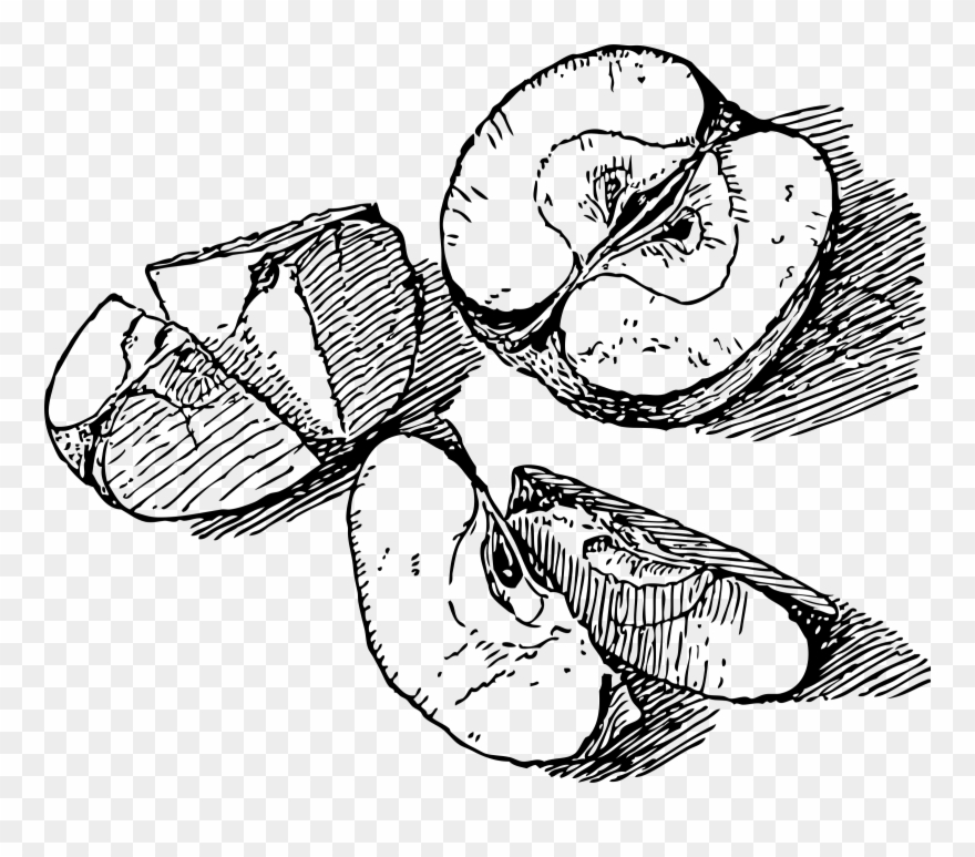 Big Image - Apple Slice Drawing Png Clipart