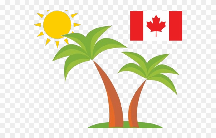 Puerto Rico Clipart Palm Tree - Canada Flag - Png Download