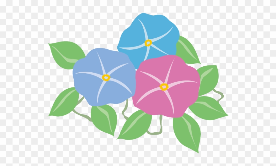 Morning Glory / Clip Art - 7 が つの イラスト - Png Download