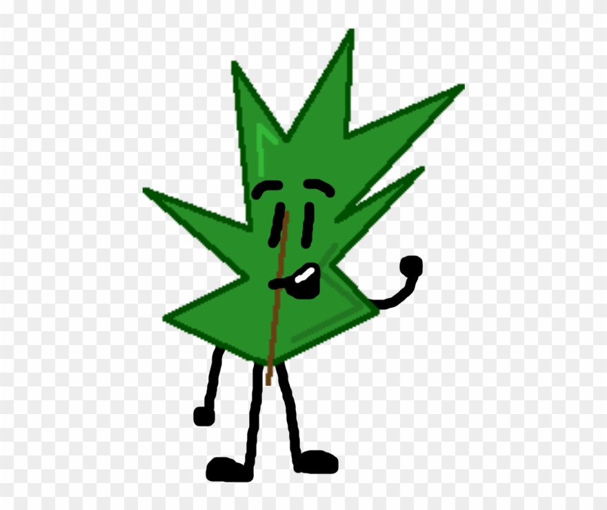 Sss Pine Needle - Portable Network Graphics Clipart