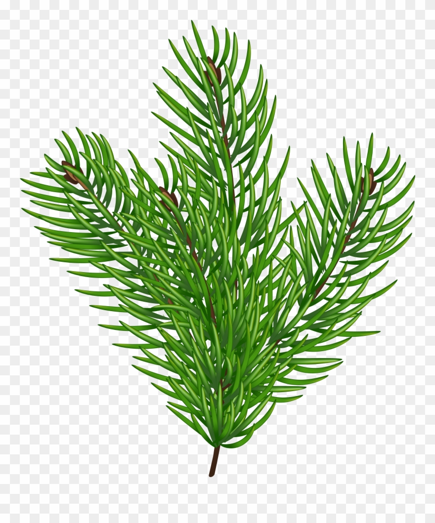 Clip Art - Png Download