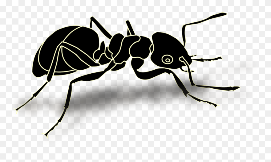 Ant Png 11, Buy Clip Art - Ant Logo Transparent