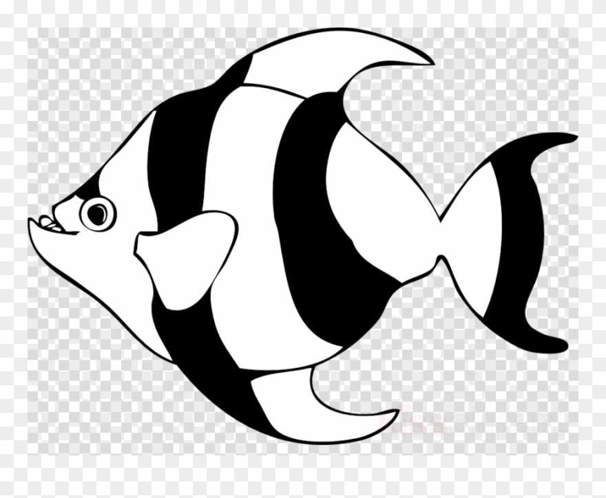 Black And White Fish Clipart Angelfish Clip Art - Angel Fish Clipart Black And White - Png Download
