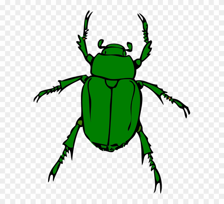Blue Bug Cliparts 28, Buy Clip Art - Beetle Bug - Png Download