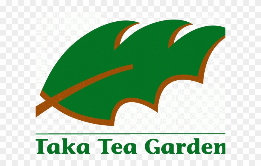 Green Tea Clipart Japan Tea - Tea Garden - Png Download